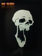 Skull 3, Large