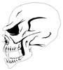 Skull 5