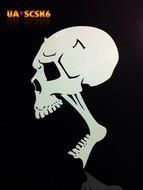 Skull 6, Large