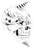 Skull 19